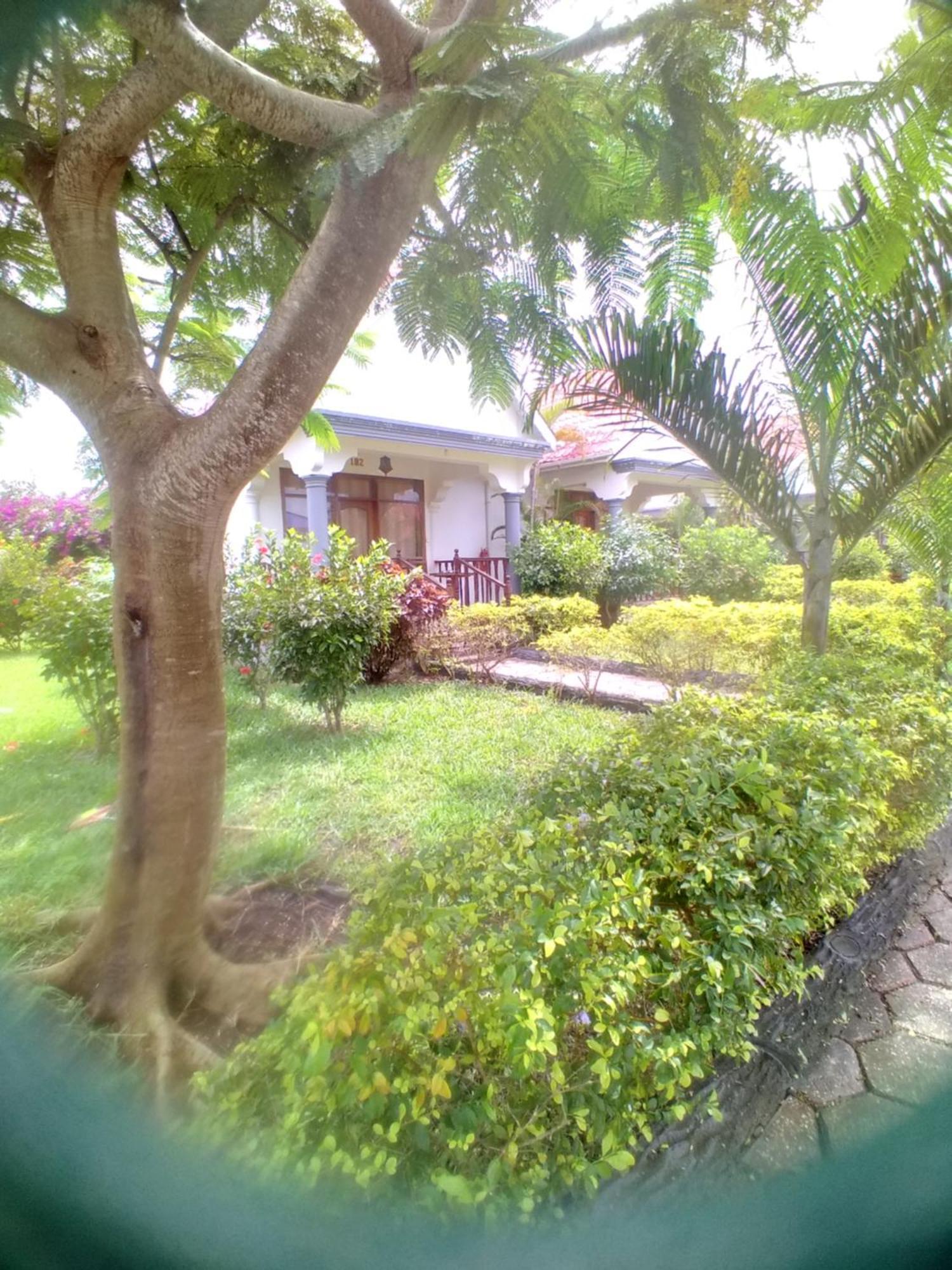 Hotel In Ras Nungwi Dış mekan fotoğraf